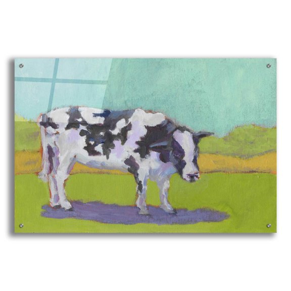 Epic Art 'Pasture Cow I' by Carol Young, Acrylic Glass Wall Art, 36"x24"