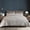 Gray-Full/Queen (92" x 96", Double-Velvet), variant on Double-sided Queen Size Quiltforter Set Reversible 92''x96'' Oversized Luxury Ultra Soft Bedspread With 2 Matching Shams All-season Bedding Mocha Brown