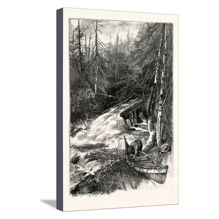 Forest Stream, and Timber Slide, Canada, Nineteenth Century Stretched Canvas Print Wall