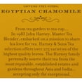 thumbnail image 6 of Harney & Sons, Herbal Tea Bags, Egyptian Chamomile Tea, .70 oz, 50 Count, 6 of 8