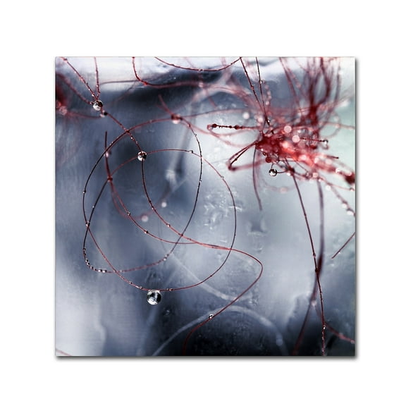 Trademark Fine Art "One Day I'll Find You" Canvas Art by Beata Czyzowska Young