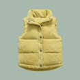thumbnail image 2 of Toddler Boys Girls Sleeveless Collar Down Vest Fall Winter Solid Color Button Stripe Jacket, 2 of 8