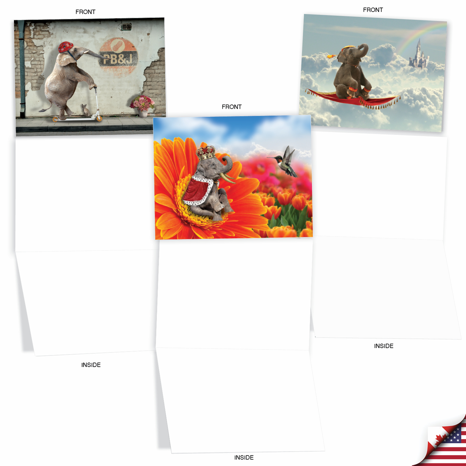 10 Assorted All-Occasion Blank Note Cards With Envelopes – Cubic Cats By Nobleworks
