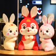 thumbnail image 2 of 30/45/55cm cute/soft/cartoon/rabbit plush toy/mascot of the Year of the Rabbit/children's birthday gift/New Year giftpink45cm Deng Xun unisex, 2 of 2