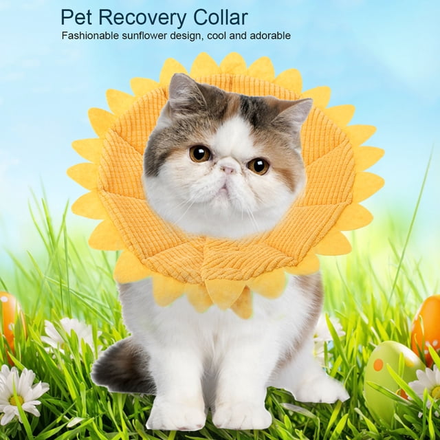 Collar de recuperación para mascotas a la moda, protección de seguridad para la curación de heridas médicas, cachorros, perros y gatos (34-36cm)