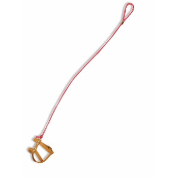 invisible dog leash near me