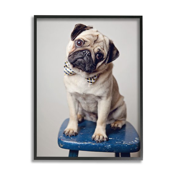 Stupell Industries Pug Bow Tie Blue Stool Pet Portrait Photography, 11 x 14, Design by Michele Reed