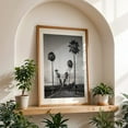 thumbnail image 5 of Palm Row in Black-and-White - California Photography Black and White Palm Tree Nature Landscape Tropical Minimalist Scenic Unframed Wall Art Print 40 x 60 inches, 5 of 60