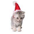thumbnail image 5 of asddcavvf Christmas Pet Hats Small Pet Festive Supplies Hedgehog Dutch Pig Christmas Flannel Strapped Pet Accessories Dog Birthday Girl Birthday Hats for Dogs 1st Birthday Dog, 5 of 5