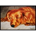 thumbnail image 1 of Carolines Treasures AMB1202JMAT Tapis Intérieur Ou Extérieur Rouge Longhaired Dachshund - 24 x 36, 1 of 4