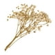 thumbnail image 1 of Flores Secas Prensadas con Millones de , Decoraciones Preservadas DIY para Joyería de Resina, Colgante Artesanal, Fabricació Macarena Flores secas prensadas naturales, 1 of 8