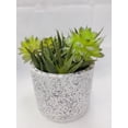 thumbnail image 1 of HOMETRENDS CONCRETE PALNTER, 1 of 1