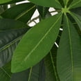 thumbnail image 5 of vidaXL Artificial Tree with Pot Artificial Plant Fake Fortune Tree 33.5" Green, 5 of 7