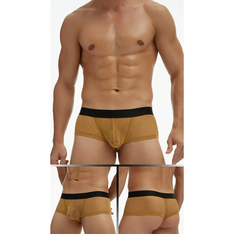 Noyal 2 Pack Mens Sexy Transparent Underwear Sheer Mesh Boxer Briefs Male  Ball Pouch Ultra-Thin Low Waist Panties