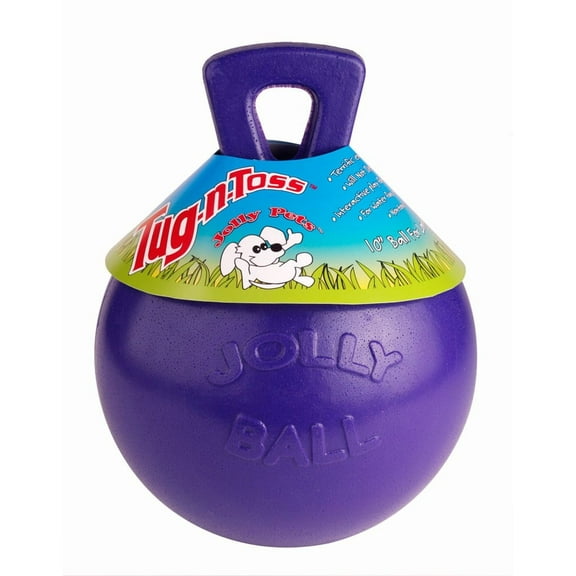 Jolly Pets Tug-N-Toss 6 inch Purple Rubber Ball with Handle Chew Toy for Dogs