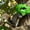 Green, variant on Funny Dino Head Squirrel Feeder | Hanging Animal Horse Heads Feeders for Squirrels | Outdoor Backyard Patio Garden Yard Decor (Black)