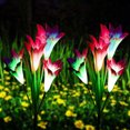 thumbnail image 3 of Lámpara Luz Solar LED RGB para exteriores flor de jardín de lirio Ehuebsd de Color 4 cabezales césped colorido resistente al agua luz nocturna patio decorativo camino de bod, 3 of 7