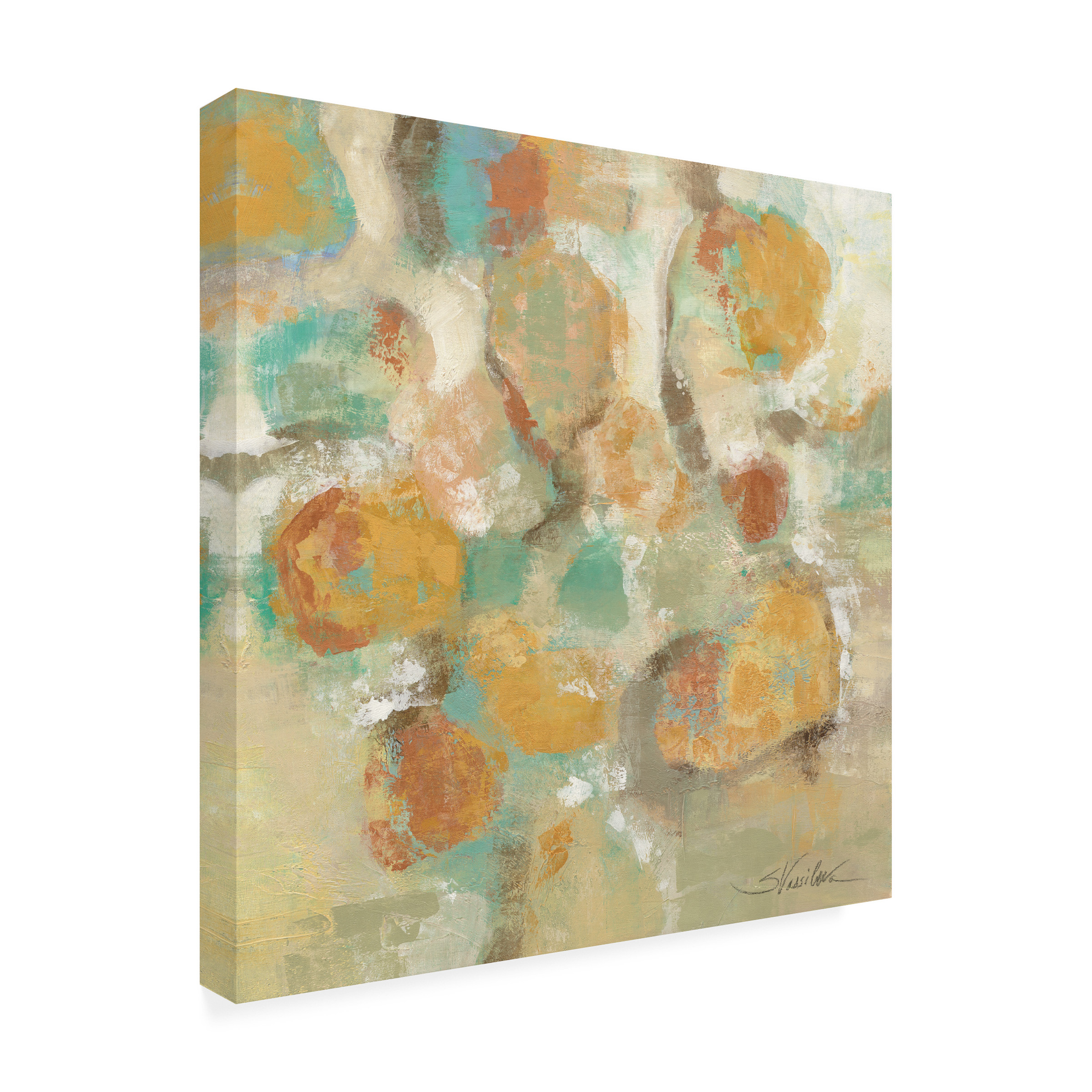Trademark Fine Art 'Sunshine Reflections' Canvas Art by Silvia Vassileva