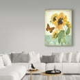 thumbnail image 3 of Trademark Fine Art 'Summertime Botanicals 1' Canvas Art by Jean Plout, 3 of 3