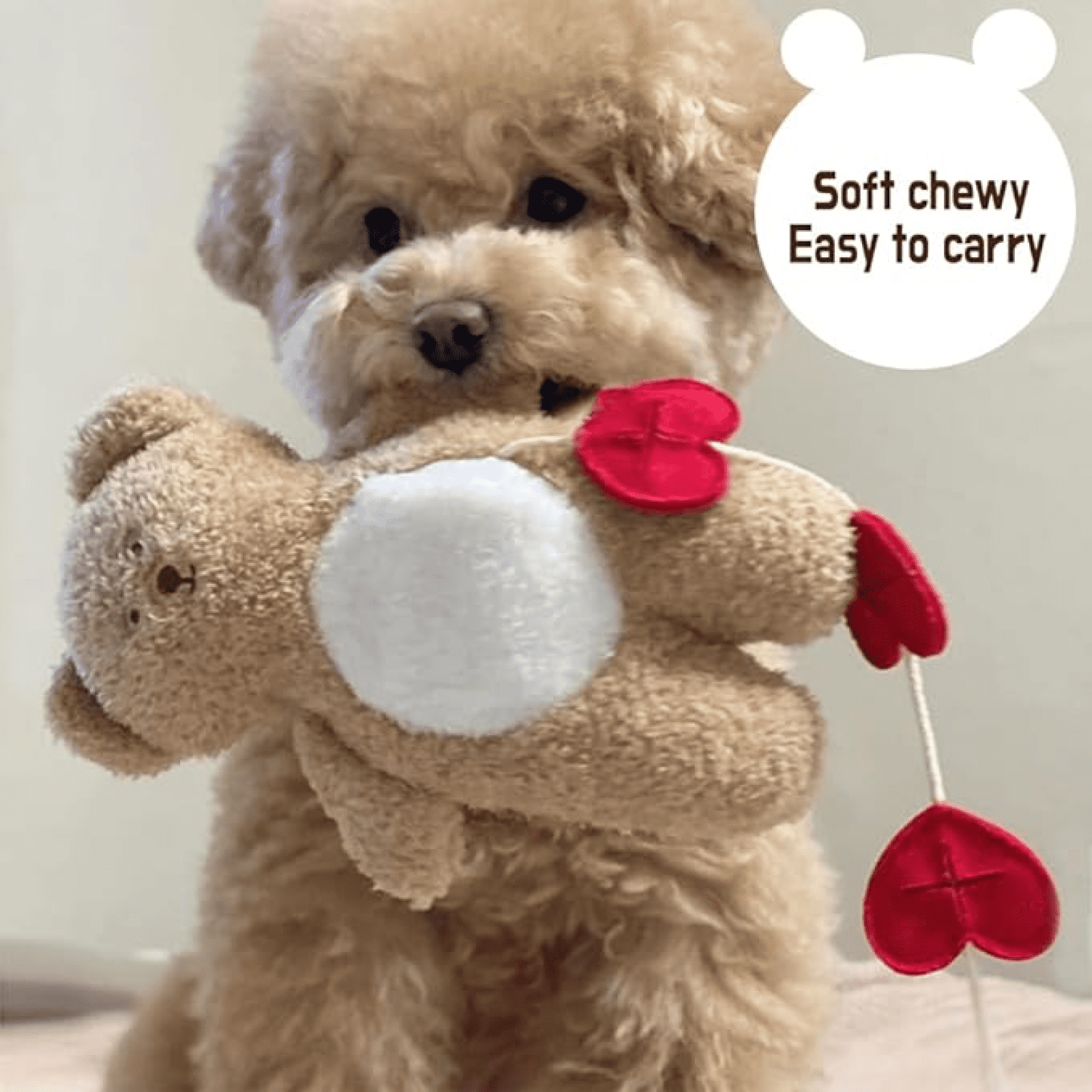 Dog inside teddy bear hotsell