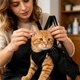 thumbnail image 4 of Bolsa de aseo para mascotas: bolsa de sujeción de nailon para baño, corte de uñas y limpieza de oídos. Transportín portátil para gatos con protección contra arañazos para uso doméstico, veterina, 4 of 5