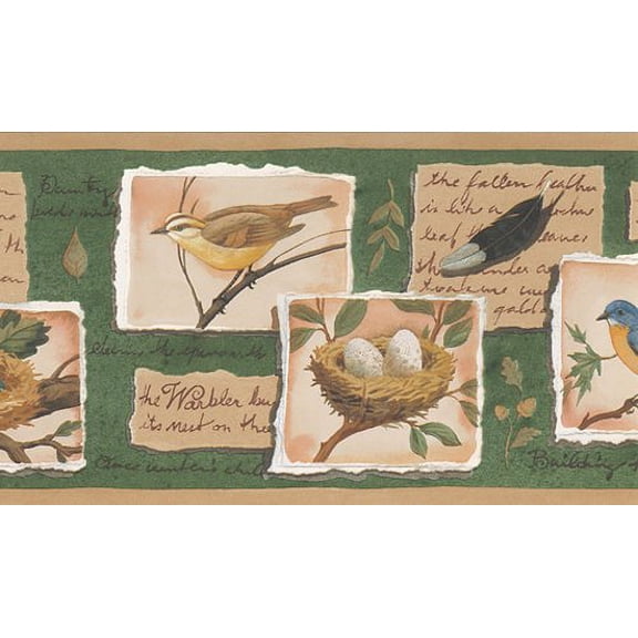 879376 Bird Nest Green Beige Wallpaper Border PE608b