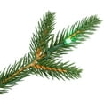 thumbnail image 5 of Northlight Real Touch™️Pre-Lit Elite Breckenridge Pine IPT Artificial Christmas Tree - 12' Dual, 5 of 9