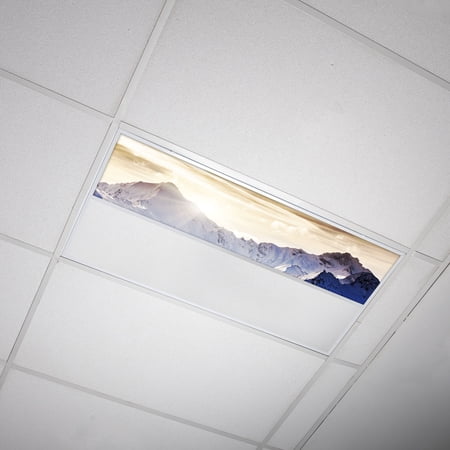 Octo Lights - Fluorescent Light Covers - 1x4 Flexible Decorative Light Diffuser...