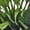 Green, variant on WLGJL Insect and Butterfly Habitat Cage Terrarium Pop-up 23.6 Inches Tall