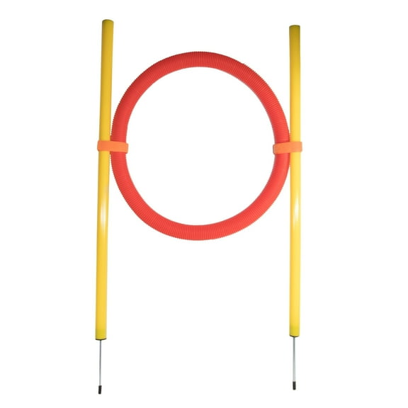 Pet Life ® 'Hoop Hopper' Collapsible Travel Folding Outdoor Performance Agility Pet Dog Trainer Training Kit