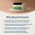 thumbnail image 6 of Live Conscious Beyond Greens Superfood Powder with Chlorella, for Men and Women, 500mg, 30 Servings, 6 of 9