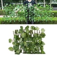 thumbnail image 2 of Langgg Clôture de Jardin Rétractable Écran d'Intimité Extérieur Feuilles Persistantes, 2 of 9