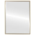 thumbnail image 1 of Singapore Framed Rectangle Mirror - Gold Spray - 17" x 21", 1 of 7