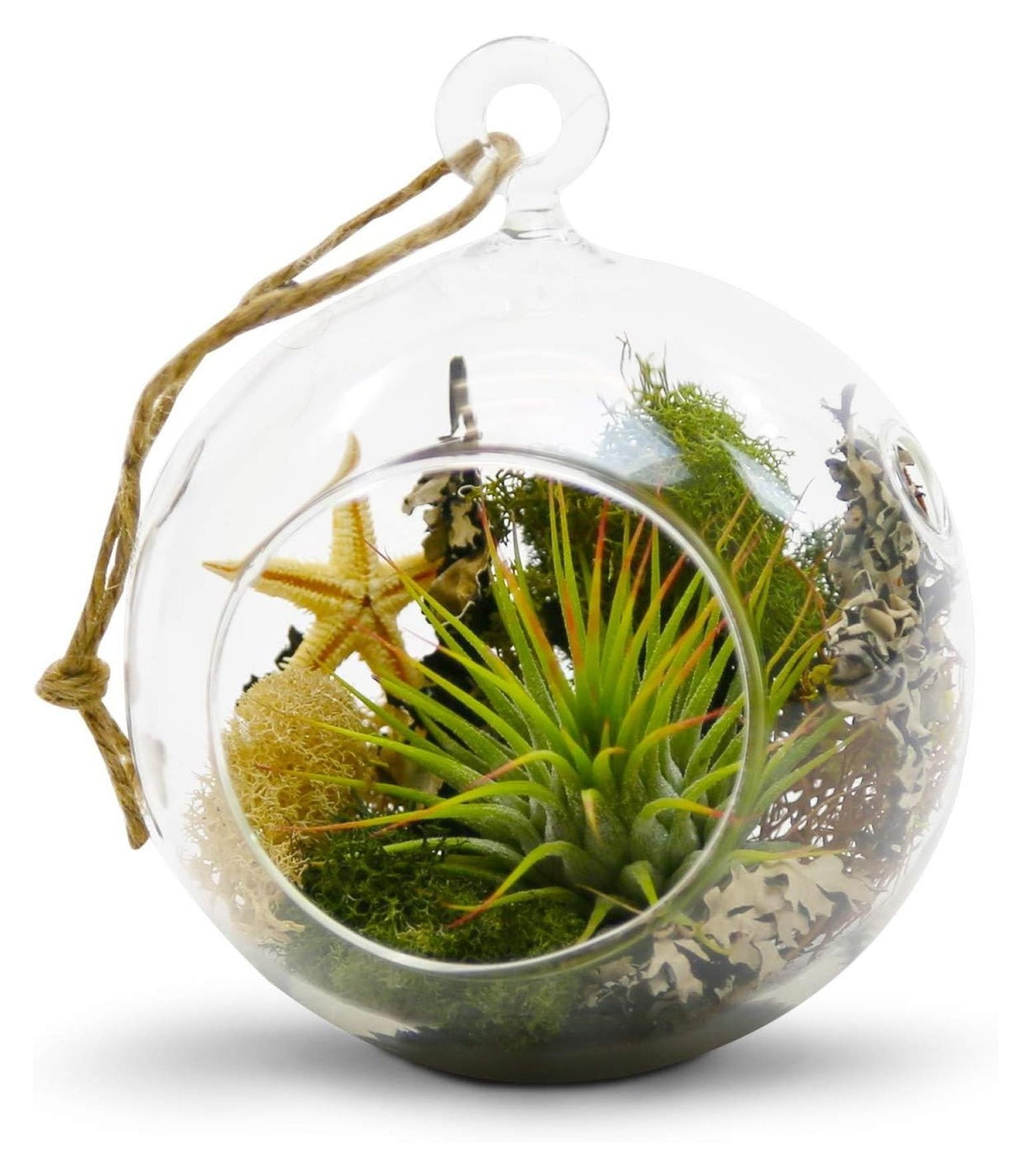 WGV Hanging Terrarium Globe, Width 4", Height 4.75", DIY Air Planter, Clear Glass Vase Orb with Flat Bottom, Candle Holder for Windowsill Outdoor Garden Decor, 12 Pieces Bulk