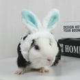 thumbnail image 5 of Pet Guinea Pig Kittens Warm Plush Hat Adjustable Headband with Cute Rabbit Ears, 5 of 8