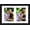 Black, variant on 6x9 Picture Frame Double 3.5x5 Collage Picture Frame Displays Two 3.5x5 inch Photos Collage Wall Decor Wall Hanging or Tabletop Black