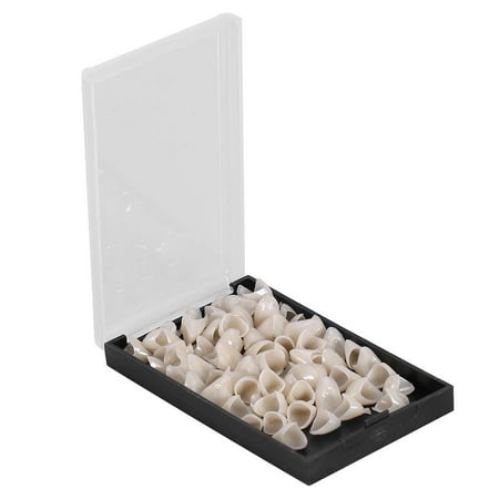 Upper Molars - HERCHR 50pcs Resin Denture False Molar Teeth Synthetic Polymer Resin Denture Anterior Teeth Upper + Lower Dental Materials