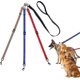 thumbnail image 1 of 3 In 1 Dog Leashes: Removable Three-way Pet Leash, Adjustable Reflective Triple Leash With Handles For 1-3 Small And Medium Dogs, 1 of 5