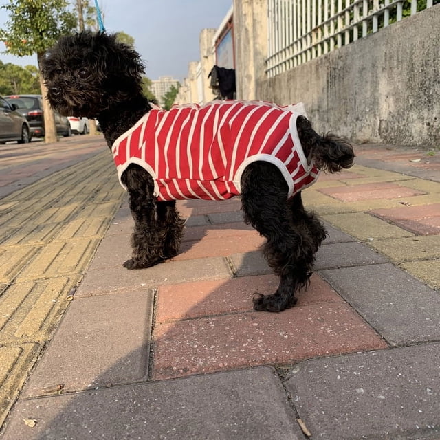 Pantalones fisiológicos de una pieza para perros y mascotas, pantalones sanitarios, pantalones menstruales de peluche, pantalones de algodón a rayas para mujeres