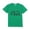 Green, variant on Xuewenshw ASK ME ABOUT MY Children's Novelty Funny Humor Flip Short Sleeved T Shirt T Shirt Round Neck 3 To 14 Years Old Children Shirts Big Boys