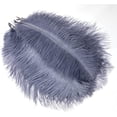 thumbnail image 7 of 10PCS Gray Ostrich Feathers, 10-12 inch(25-30 cm) Ostrich Feathers Bluk for DIY Crafts Centerpieces Wedding Halloween Costume Party Decorations, 7 of 7