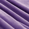 thumbnail image 3 of ERTUTUYI Soft Warm Solid Warm Micro Plush Blanket Throw Rug Sofa Bedding Purple, 3 of 7