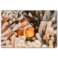 thumbnail image 1 of Picture-Tiles.com: Coral Ceramic Tile Wall Mural WAL500429-64L. 48"W x 32"H using (24) 8" x 8" Ceramic Tiles-Satin Finish, 1 of 3