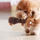 thumbnail image 5 of Juguetes Para Perros, Gato Para Mascotas, Juguete De Peluche Para Perros Pequeños, Juguete Para Perros, Juguetes Para Perros Grandes Con Forma De Animal Lindo Con Dispositivo De, 5 of 7