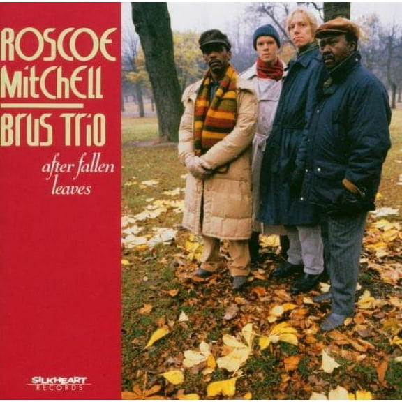 Roscoe Mitchell - After Fallen Leaves - Music & Performance - CD