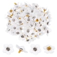 thumbnail image 1 of Uxcell 100-Pack Cabezas de Flores Artificiales, Pequeñas Flores de Seda Falsas de Margarita para Decoración de Boda/Guirnalda/Sombrero/Zapatos/Fiestas, Pétalos de Cereza Falsos en Granel [Blanco], 1 of 1