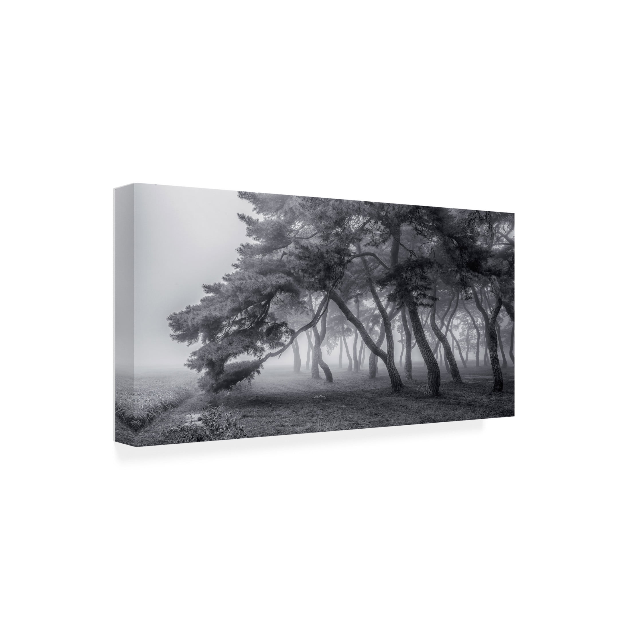 Canvas Wall Art - Tiger Seo 'Always' Wall Art for Living Room, Bedroom, or Office D?cor by Trademark Fine Art - 47 x 24 Inches