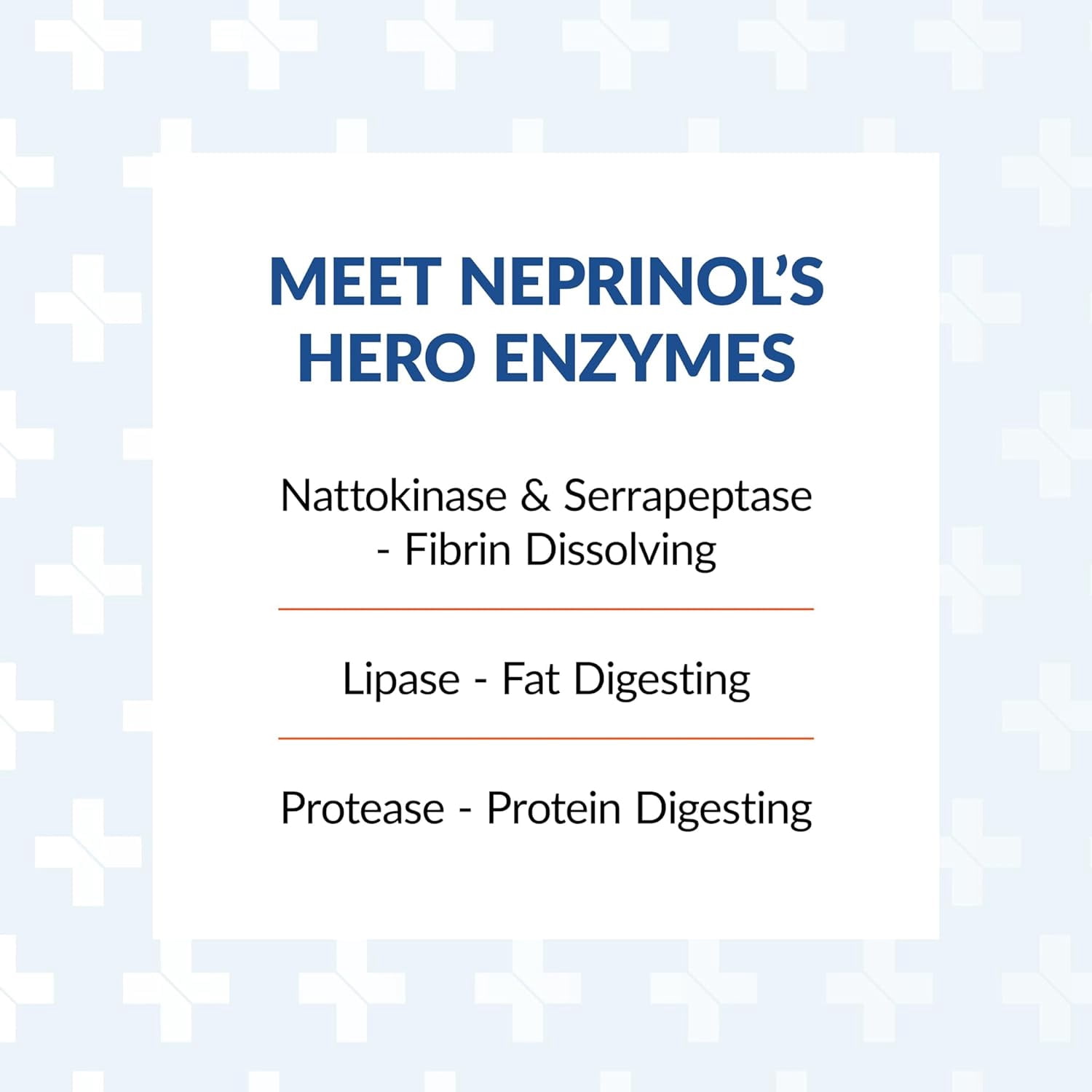Arthur Andrew Medical, Neprinol AFD, Multi Enzyme Blend with Serrapeptase & Nattokinase, 90 Count (Pack of 1)