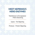 thumbnail image 3 of Arthur Andrew Medical, Neprinol AFD, Multi Enzyme Blend with Serrapeptase & Nattokinase, 300 Count (Pack of 1), 3 of 5