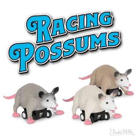UPC: 0739048129151 | Racing Possums 3 Piece Set